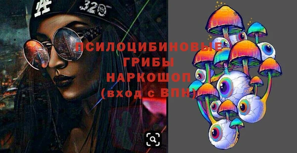эйфоретик Белокуриха