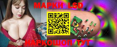 мдпв Новокубанск