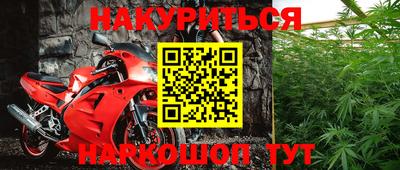 МДПВ Новозыбков