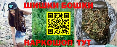 МДПВ Новозыбков
