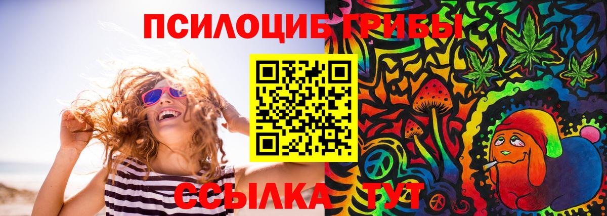 Псилоцибиновые грибы GOLDEN TEACHER Буйнакск