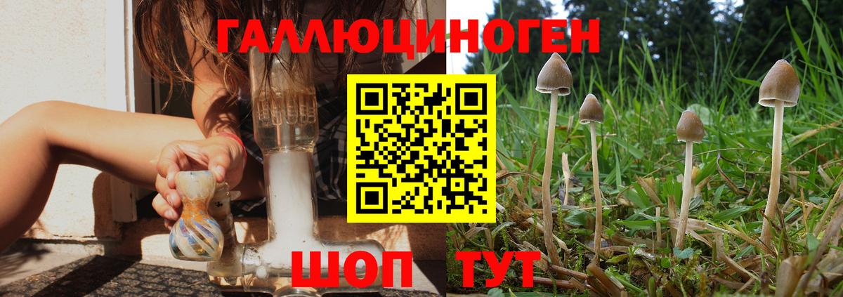 Псилоцибиновые грибы прущие грибы  Галлюциногенные грибы Cubensis  Буйнакск  Вход с VPN 